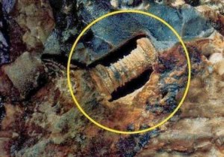 Ruské vědecké kapacity si neví rady: Archeologové našli 300 milionů let starý šroub