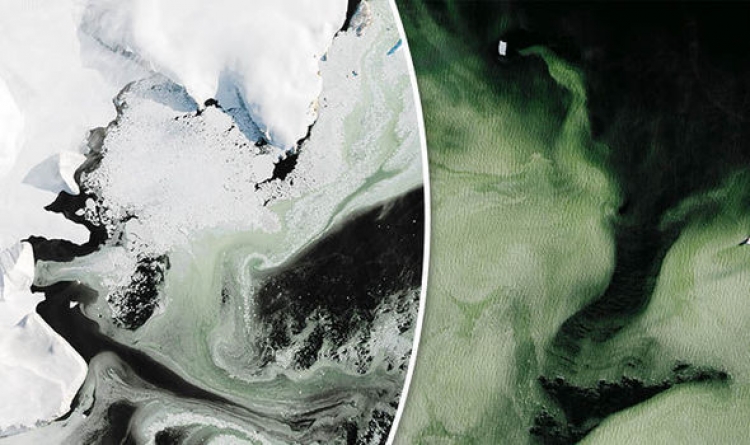 Vědci si prohlédli fotografie ze satelitu a zůstali v úžasu: Antarktida se mění na zelenou