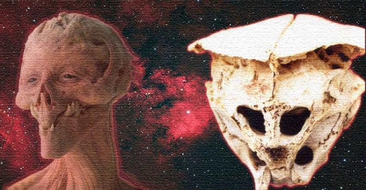 Tajemná lebka nalezená v Bulharsku může patřit mimozemskému tvorovi, říkají vědci