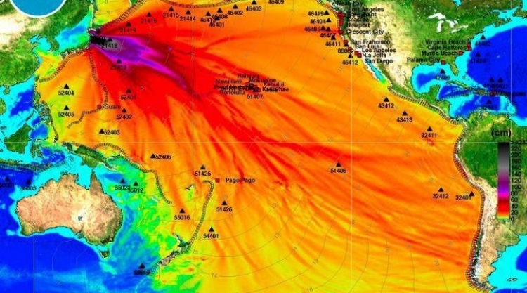 Kvůli Fukušimě jsou ozáření všichni lidé na světě
