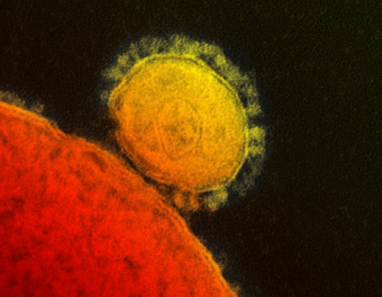 Nová šokující data o koronaviru v Itálii